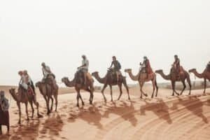 Moroccan Trips: Morocco Holiday Packages, Morocco luxury Tours, Marrakech Desert Tours, Customized Tours & Morocco Small Group Tours.