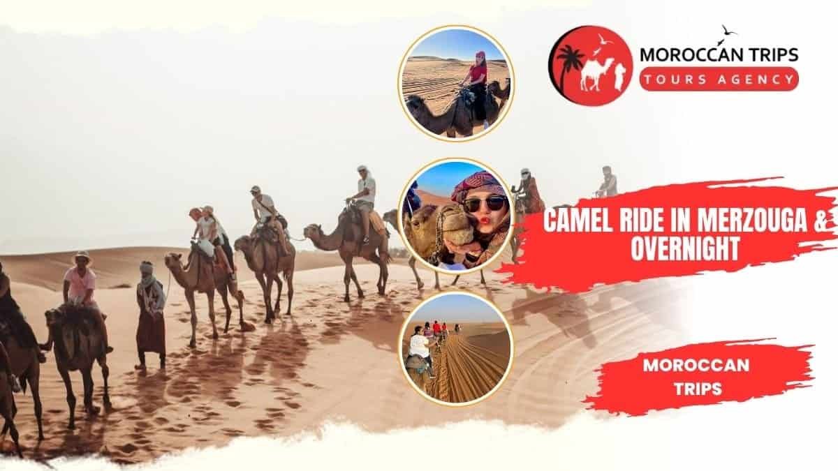 Morocco trip - Morocco tours - Morocco holiday - Morocco excursions - Morocco itinerary - Morocco wonderful tour - travel to Morocco - Trip tp Morocco - Holiday in Morocco - Holiday tour in Morocco - Morocco in 1 week - 1 week in Morocco - 3 Days tour in Morocco - Morocco 4 days tour - 10 Days Morocco tour - 10 Days in Morocco - 10 Travel in Morocco