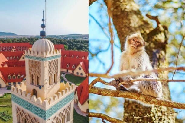 Join us for a Fes to Ifrane and Cedar Forest Day trip. Explore stunning landscapes and experience the beauty of nature. (Private day trip).