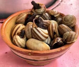 Morocco trip - Morocco tours - Morocco holiday - Morocco excursions - Morocco itinerary - Morocco wonderful tour - travel to Morocco - Trip tp Morocco - Holiday in Morocco - Holiday tour in Morocco - Morocco in 1 week - 1 week in Morocco - 3 Days tour in Morocco - Morocco 4 days tour - 10 Days Morocco tour - 10 Days in Morocco - 10 Travel in Morocco