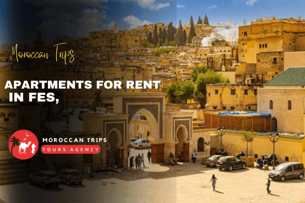 Apartments for Rent in Fes Morocco – Fes apartment rentals – Fes short-term rentals – Fes long-term apartments – apartments in Fes Medina – traditional riads for rent in Fes – modern apartments in Fes – Fes furnished apartments – Fes luxury apartments – budget apartments Fes – cheap apartments Fes Morocco – Fes city center apartments – Fes accommodation – best apartments to stay in Fes – Fes Morocco holiday apartments – Fes vacation rentals – Fes private apartments – family apartments Fes Morocco – studio apartments in Fes – riad-style apartments Fes – authentic Moroccan apartments Fes – Fes apartment with terrace – apartments near Bab Boujloud Fes – apartments near Batha Fes – Fes apartment with kitchen – Fes apartment with Wi-Fi – Fes apartment booking – rent apartment in Fes Morocco – monthly apartments Fes Morocco – Fes travel accommodation – Fes stay for tourists – where to stay in Fes Morocco – Moroccan Trips apartments Fes – Fes Morocco housing options – Fes private rental homes – Fes city living experience – local apartments Fes Medina – Fes Morocco travel and stay – Moroccan-style apartments Fes – Fes apartment deals – best accommodation in Fes Morocco – apartments for couples in Fes – family-friendly apartments Fes – affordable apartments in Fes Morocco – top-rated apartments Fes Medina – Fes apartments near attractions – Fes old city accommodation – Fes new city apartments – Ville Nouvelle apartments Fes – Fes cultural stay options – Moroccan architecture apartments Fes – Fes rental properties – rent a riad in Fes Morocco – traditional Moroccan homes in Fes – best neighborhoods to stay in Fes – Fes Morocco travel guide accommodation – Fes private stay recommendations – Moroccan Trips Fes rentals – Fes authentic travel experience – Fes local living apartment stay