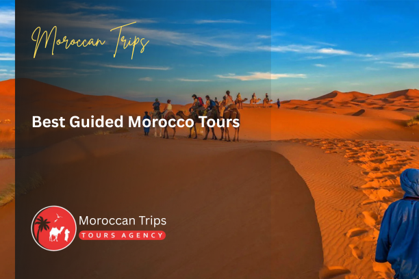 Best Guided Morocco Tours - Top Guided Morocco Tours - Morocco Guided Tours - Best Morocco Guided Tour Packages - Guided Tours in Morocco - Private Guided Morocco Tours - Small Group Guided Morocco Tours - Luxury Guided Morocco Tours - Morocco Cultural Guided Tours - Morocco Desert Guided Tours - Morocco Adventure Guided Tours - Morocco Historical Guided Tours - Best Rated Guided Morocco Tours - Morocco City Guided Tours - Guided Morocco Travel Packages - Morocco Multi-Day Guided Tours - Morocco Sightseeing Guided Tours - Custom Guided Morocco Tours - Affordable Guided Morocco Tours - Morocco Expert Guided Tours