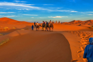 Best Guided Morocco Tours - Top Guided Morocco Tours - Morocco Guided Tours - Best Morocco Guided Tour Packages - Guided Tours in Morocco - Private Guided Morocco Tours - Small Group Guided Morocco Tours - Luxury Guided Morocco Tours - Morocco Cultural Guided Tours - Morocco Desert Guided Tours - Morocco Adventure Guided Tours - Morocco Historical Guided Tours - Best Rated Guided Morocco Tours - Morocco City Guided Tours - Guided Morocco Travel Packages - Morocco Multi-Day Guided Tours - Morocco Sightseeing Guided Tours - Custom Guided Morocco Tours - Affordable Guided Morocco Tours - Morocco Expert Guided Tours