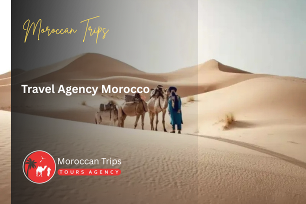 Travel Agency Morocco - Morocco Travel Agency - Morocco Tour Agency - Morocco Tours Agency - Morocco Vacation Agency - Morocco Trip Agency - Morocco Private Travel Agency - Morocco Luxury Travel Agency - Morocco Adventure Travel Agency - Morocco Cultural Travel Agency - Morocco Guided Tours Agency - Morocco Holiday Travel Agency - Morocco Tour Operator Agency - Morocco Travel Services Agency - Morocco Travel Experts Agency - Morocco Custom Travel Agency - Morocco Travel Planner Agency - Best Travel Agency Morocco - Morocco Travel Company - Morocco Travel Booking Agency