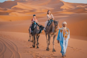 10 Days Tour from Casablanca - 10 Day Tour from Casablanca - Casablanca 10 Days Tour - Casablanca 10 Day Tour - Morocco 10 Days Tour from Casablanca - Morocco 10 Day Tour from Casablanca - 10 Days Morocco Tour from Casablanca - 10 Day Morocco Tour from Casablanca - 10 Days Casablanca Morocco Tour - 10 Day Casablanca Morocco Tour - Morocco Casablanca 10 Days Tour - Morocco Casablanca 10 Day Tour - 10 Days Morocco Itinerary from Casablanca - 10 Day Morocco Itinerary from Casablanca - Casablanca 10 Days Itinerary Morocco - Casablanca 10 Day Itinerary Morocco - Morocco 10 Days Trip from Casablanca - Morocco 10 Day Trip from Casablanca - 10 Days Morocco Trip from Casablanca - 10 Day Morocco Trip from Casablanca