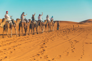 Errachidia Tours - Errachidia Tour - Morocco Errachidia Tours - Morocco Errachidia Tour - Errachidia City Tours - Errachidia Private Tours - Errachidia Guided Tours - Errachidia Cultural Tours - Errachidia Adventure Tours - Errachidia Desert Tours - Errachidia Sahara Tours - Errachidia Luxury Tours - Errachidia Multi-Day Tours - Errachidia Excursion Tours - Errachidia Family Tours - Errachidia Holiday Tours - Errachidia Travel Tours - Errachidia Sightseeing Tours - Errachidia Explorer Tours - Errachidia 7-Day Tours