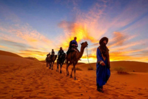 Merzouga Desert Excursion - Merzouga Desert Excursions - Merzouga Excursion - Merzouga Excursions - Morocco Merzouga Desert Excursion - Morocco Merzouga Desert Excursions - Merzouga Sahara Excursion - Merzouga Sahara Excursions - Merzouga Camel Excursion - Merzouga Camel Excursions - Merzouga Adventure Excursion - Merzouga Adventure Excursions - Merzouga Luxury Desert Excursion - Merzouga Luxury Desert Excursions - Merzouga Private Desert Excursion - Merzouga Private Desert Excursions - Merzouga Multi-Day Excursion - Merzouga Cultural Desert Excursion - Merzouga Guided Desert Excursion - Merzouga Desert Experience