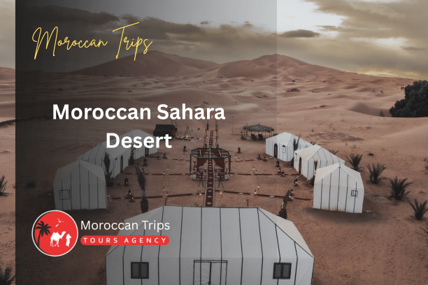 Moroccan Sahara Desert - Moroccan Sahara Desert Tour - Moroccan Sahara Desert Tours - Moroccan Sahara Desert Trip - Moroccan Sahara Desert Trips - Moroccan Sahara Desert Excursion - Moroccan Sahara Desert Adventure - Moroccan Sahara Desert Experience - Moroccan Sahara Desert Travel - Moroccan Sahara Desert Journey - Moroccan Sahara Desert Camel Trek - Moroccan Sahara Desert Camping - Moroccan Sahara Desert Luxury Camp - Moroccan Sahara Desert Private Tour - Moroccan Sahara Desert Sunset Tour - Moroccan Sahara Desert Sunrise Tour - Moroccan Sahara Desert Dunes - Moroccan Sahara Desert Merzouga - Moroccan Sahara Desert Erg Chebbi - Best Moroccan Sahara Desert Tour