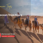 Moroccan Trips Tours – Moroccan Trip Tours – Morocco Trips Tours – Morocco Trip Tours – Moroccan Travel Trips Tours – Moroccan Travel Trip Tours – Morocco Travel Trips Tours – Morocco Travel Trip Tours – Moroccan Holiday Trips Tours – Moroccan Holiday Trip Tours – Morocco Holiday Trips Tours – Morocco Holiday Trip Tours – Moroccan Tour Trips Tours – Moroccan Tour Trip Tours – Morocco Tour Trips Tours – Morocco Tour Trip Tours – Moroccan Adventure Trips Tours – Moroccan Adventure Trip Tours – Morocco Adventure Trips Tours – Morocco Adventure Trip Tours – Moroccan Private Trips Tours – Moroccan Private Trip Tours – Morocco Private Trips Tours – Morocco Private Trip Tours – Moroccan Cultural Trips Tours – Moroccan Cultural Trip Tours – Morocco Cultural Trips Tours – Morocco Cultural Trip Tours – Moroccan Desert Trips Tours – Moroccan Desert Trip Tours – Morocco Desert Trips Tours – Morocco Desert Trip Tours – Moroccan Luxury Trips Tours – Moroccan Luxury Trip Tours – Morocco Luxury Trips Tours – Morocco Luxury Trip Tours – Moroccan Family Trips Tours – Moroccan Family Trip Tours – Morocco Family Trips Tours – Morocco Family Trip Tours – Moroccan Multi-Day Trips Tours – Moroccan Multi-Day Trip Tours – Morocco Multi-Day Trips Tours – Morocco Multi-Day Trip Tours Moroccan Trips Tours - Moroccan Trip Tours - Morocco Trips Tours - Morocco Trip Tours - Moroccan Travel Trips Tours - Moroccan Travel Trip Tours - Morocco Travel Trips Tours - Morocco Travel Trip Tours - Moroccan Holiday Trips Tours - Moroccan Holiday Trip Tours - Morocco Holiday Trips Tours - Morocco Holiday Trip Tours - Moroccan Tour Trips Tours - Moroccan Tour Trip Tours - Morocco Tour Trips Tours - Morocco Tour Trip Tours - Moroccan Adventure Trips Tours - Moroccan Adventure Trip Tours - Morocco Adventure Trips Tours - Morocco Adventure Trip Tours - Moroccan Private Trips Tours - Moroccan Private Trip Tours - Morocco Private Trips Tours - Morocco Private Trip Tours - Moroccan Cultural Trips Tours - Moroccan Cultural Trip Tours - Morocco Cultural Trips Tours - Morocco Cultural Trip Tours - Moroccan Desert Trips Tours - Moroccan Desert Trip Tours - Morocco Desert Trips Tours - Morocco Desert Trip Tours - Moroccan Luxury Trips Tours - Moroccan Luxury Trip Tours - Morocco Luxury Trips Tours - Morocco Luxury Trip Tours - Moroccan Family Trips Tours - Moroccan Family Trip Tours - Morocco Family Trips Tours - Morocco Family Trip Tours - Moroccan Multi-Day Trips Tours - Moroccan Multi-Day Trip Tours - Morocco Multi-Day Trips Tours - Morocco Multi-Day Trip Tours
