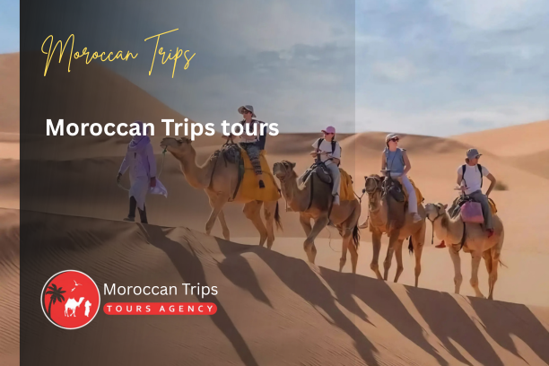 Moroccan Trips Tours - Moroccan Trip Tours - Morocco Trips Tours - Morocco Trip Tours - Moroccan Travel Trips Tours - Moroccan Travel Trip Tours - Morocco Travel Trips Tours - Morocco Travel Trip Tours - Moroccan Holiday Trips Tours - Moroccan Holiday Trip Tours - Morocco Holiday Trips Tours - Morocco Holiday Trip Tours - Moroccan Tour Trips Tours - Moroccan Tour Trip Tours - Morocco Tour Trips Tours - Morocco Tour Trip Tours - Moroccan Adventure Trips Tours - Moroccan Adventure Trip Tours - Morocco Adventure Trips Tours - Morocco Adventure Trip Tours - Moroccan Private Trips Tours - Moroccan Private Trip Tours - Morocco Private Trips Tours - Morocco Private Trip Tours - Moroccan Cultural Trips Tours - Moroccan Cultural Trip Tours - Morocco Cultural Trips Tours - Morocco Cultural Trip Tours - Moroccan Desert Trips Tours - Moroccan Desert Trip Tours - Morocco Desert Trips Tours - Morocco Desert Trip Tours - Moroccan Luxury Trips Tours - Moroccan Luxury Trip Tours - Morocco Luxury Trips Tours - Morocco Luxury Trip Tours - Moroccan Family Trips Tours - Moroccan Family Trip Tours - Morocco Family Trips Tours - Morocco Family Trip Tours - Moroccan Multi-Day Trips Tours - Moroccan Multi-Day Trip Tours - Morocco Multi-Day Trips Tours - Morocco Multi-Day Trip Tours