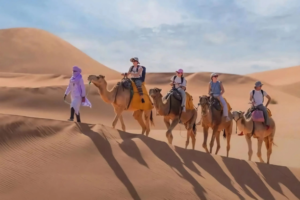 Moroccan Trips Tours - Moroccan Trip Tours - Morocco Trips Tours - Morocco Trip Tours - Moroccan Travel Trips Tours - Moroccan Travel Trip Tours - Morocco Travel Trips Tours - Morocco Travel Trip Tours - Moroccan Holiday Trips Tours