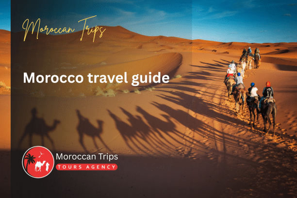 Morocco Travel Guide - Moroccan Travel Guide - Morocco Trip Travel Guide - Morocco Tours Travel Guide - Morocco Adventure Travel Guide - Morocco Luxury Travel Guide - Morocco Private Travel Guide - Morocco Holiday Travel Guide - Morocco Cultural Travel Guide - Morocco Sahara Travel Guide - Morocco Family Travel Guide - Morocco Multi-Day Travel Guide - Morocco Guided Travel Guide - Morocco Excursion Travel Guide - Morocco 7-Day Travel Guide - Morocco Itinerary Travel Guide - Morocco Explorer Travel Guide - Morocco Desert Travel Guide - Morocco Marrakech Travel Guide - Morocco Fes Travel Guide