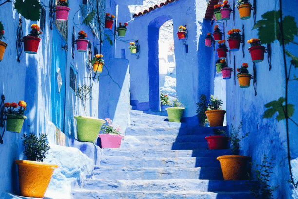 Blue-painted street in Chefchaouen Morocco with colorful flower pots